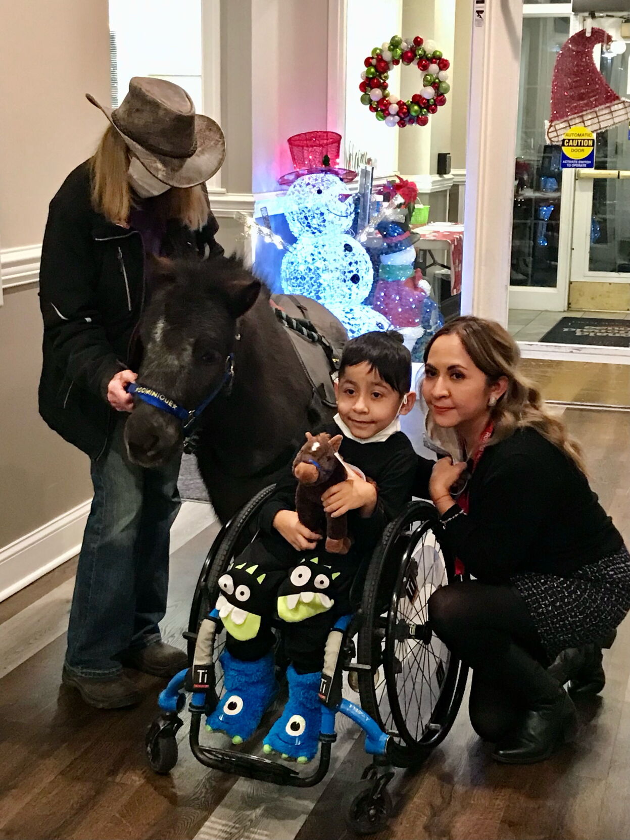 Dominique the therapy horse